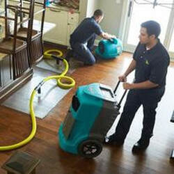 Mold removal Agent